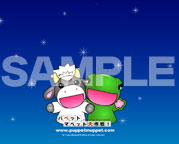 �摜